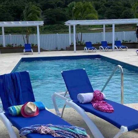 לוסאה Natty'S Cozy Beach House In Hanover Jamaica מראה חיצוני תמונה