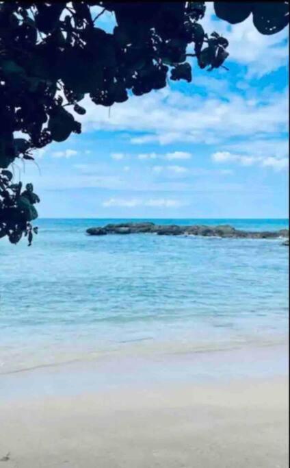 לוסאה Natty'S Cozy Beach House In Hanover Jamaica מראה חיצוני תמונה