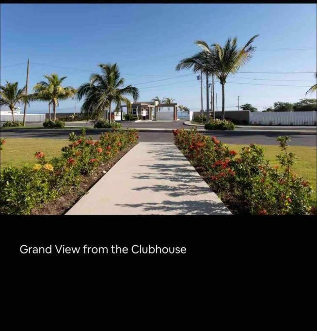 לוסאה Natty'S Cozy Beach House In Hanover Jamaica מראה חיצוני תמונה