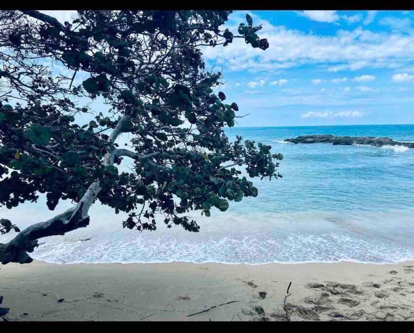 לוסאה Natty'S Cozy Beach House In Hanover Jamaica מראה חיצוני תמונה