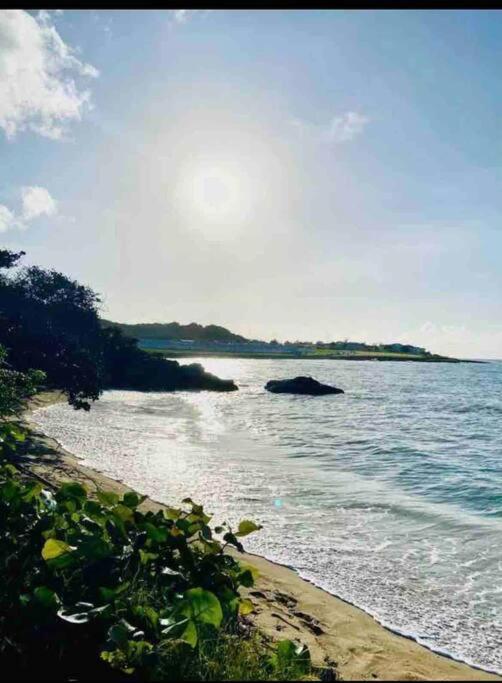 לוסאה Natty'S Cozy Beach House In Hanover Jamaica מראה חיצוני תמונה