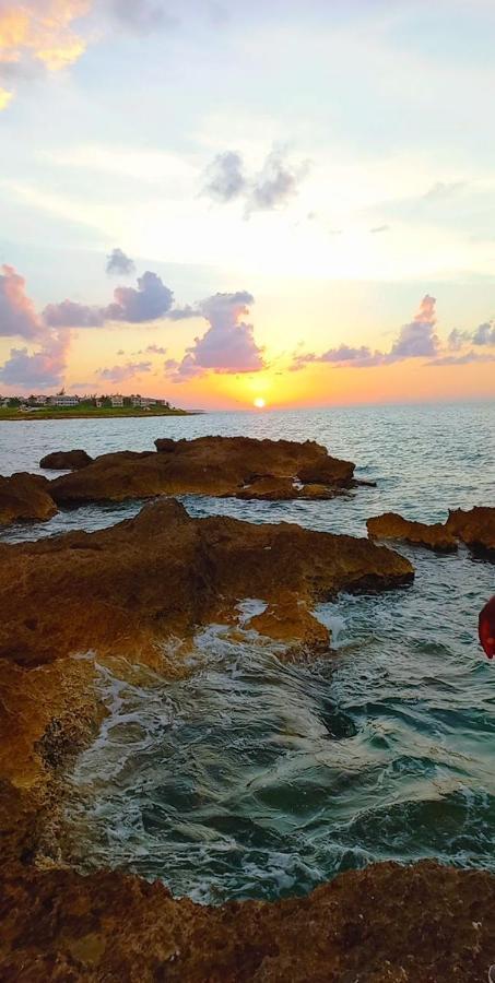 לוסאה Natty'S Cozy Beach House In Hanover Jamaica מראה חיצוני תמונה